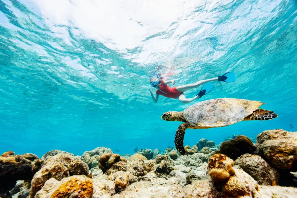 Activité nautique : snorkling.