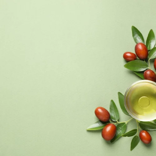Huile de jojoba : comparatif des meilleures marques 2025