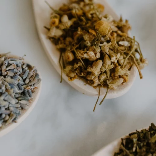 Huile essentielle de Patchouli – vertus, usages et bienfaits