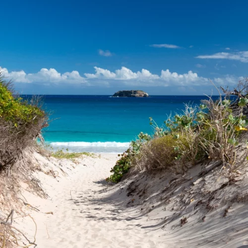 Meilleure période pour visiter Saint-Barth : guide complet