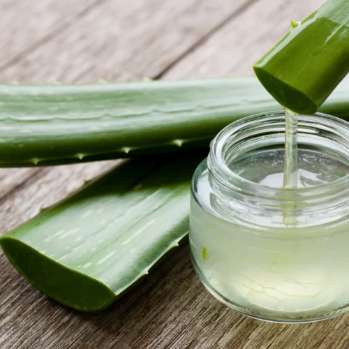 Peut-on garder l’aloe vera sur la peau toute la nuit ?