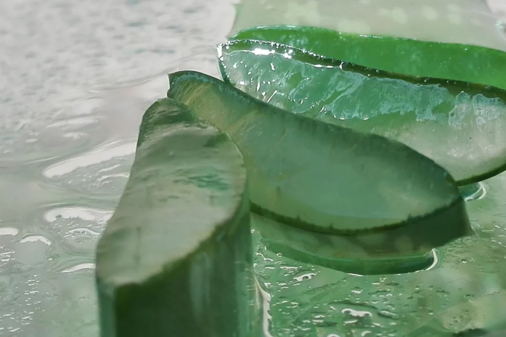 Masques capillaires - Aloe vera.