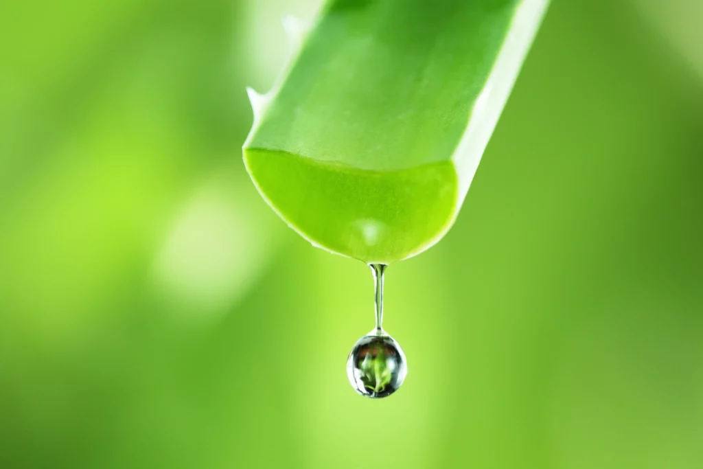 Masques capillaires.