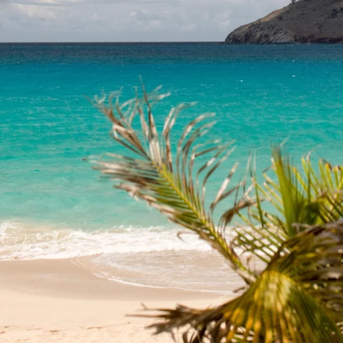 Flamands Saint-Barth : une plage emblématique au cœur des Caraïbes